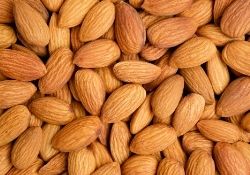 Cardamom
